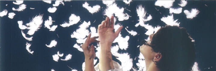 pon_hs's profile banner image