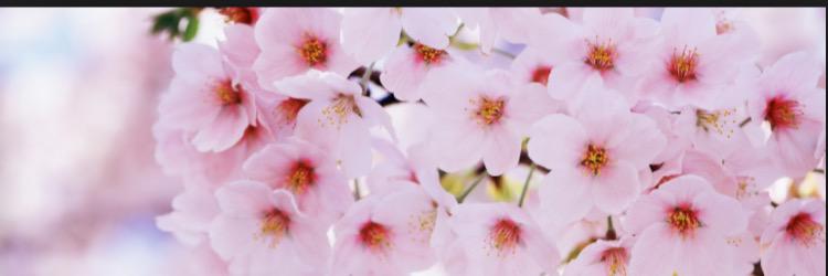 macalou21's profile banner image