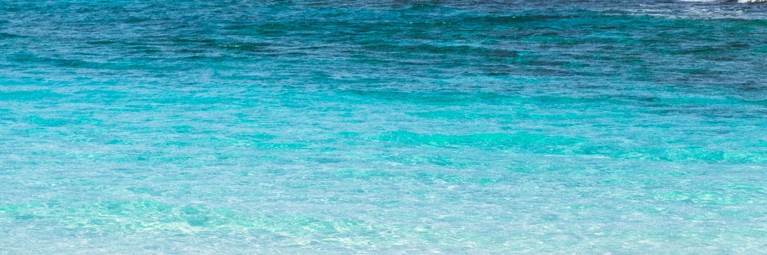palomafts's profile banner image