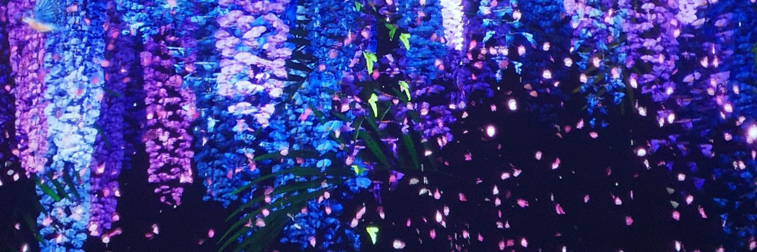 __limeade's profile banner image