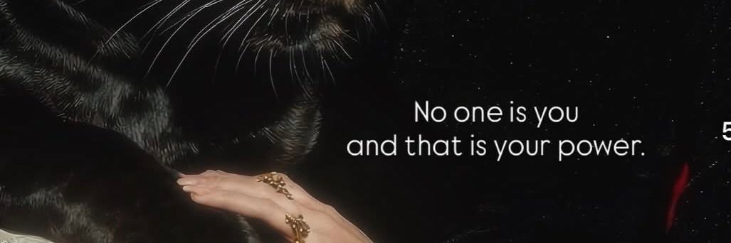 NatalieSafa's profile banner image