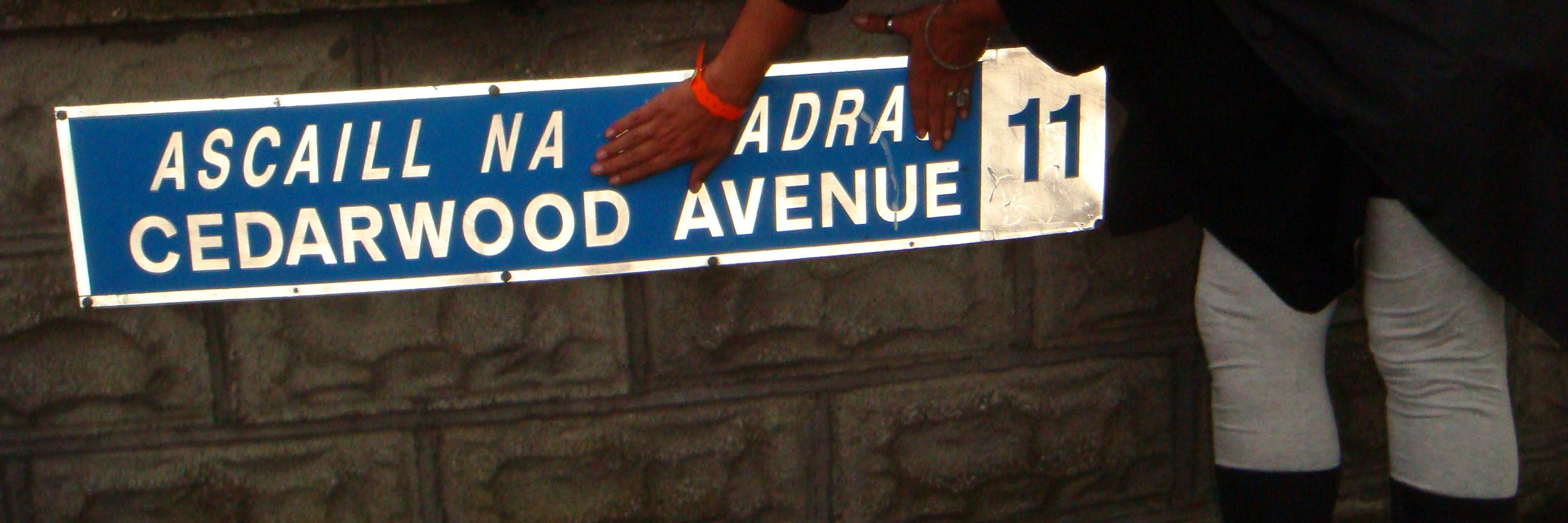 Adra_CatDubh's profile banner image