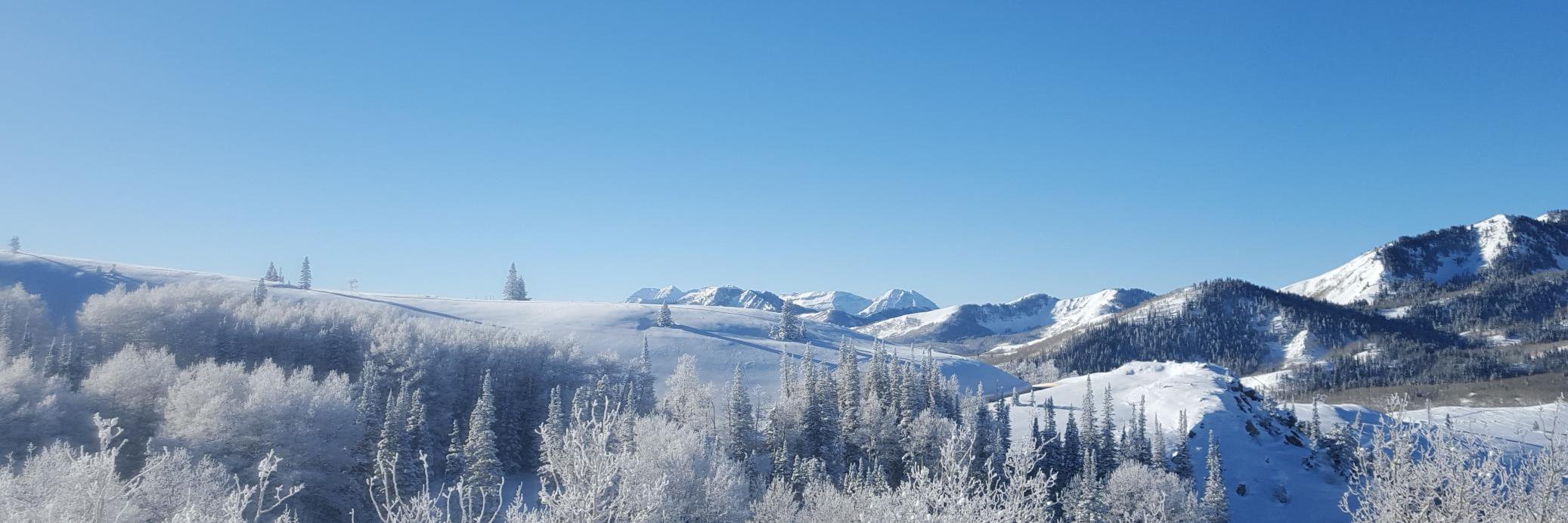 Jackson Mueller banner