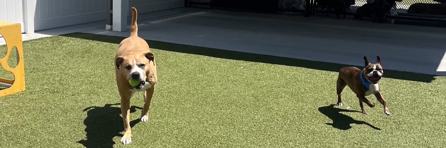 EZ banner