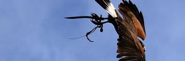 wheatleybirds's profile banner image
