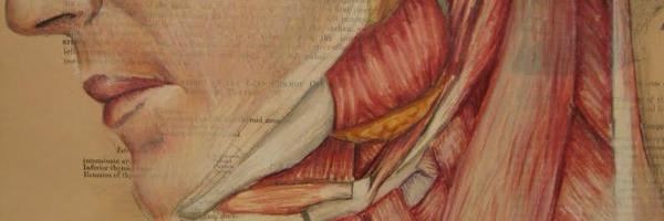 IHaveSinus Profile Banner