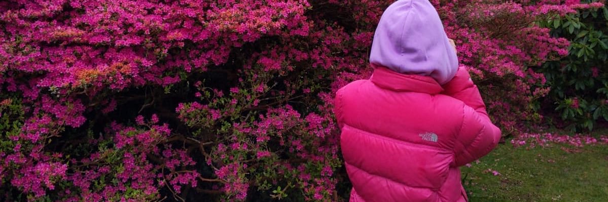 ellens_mith's profile banner image