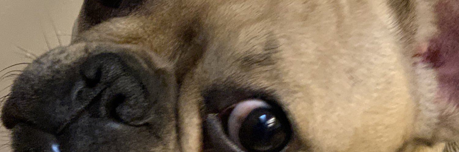 MimitheFrenchie's profile banner image