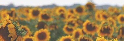 mrsemmyv_'s profile banner image