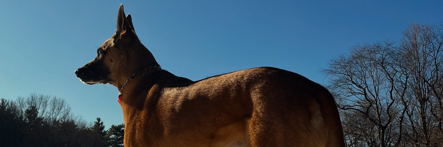 𝕥𝕙𝕖𝕒𝕤𝕓𝕣𝕒𝕟𝕕 banner