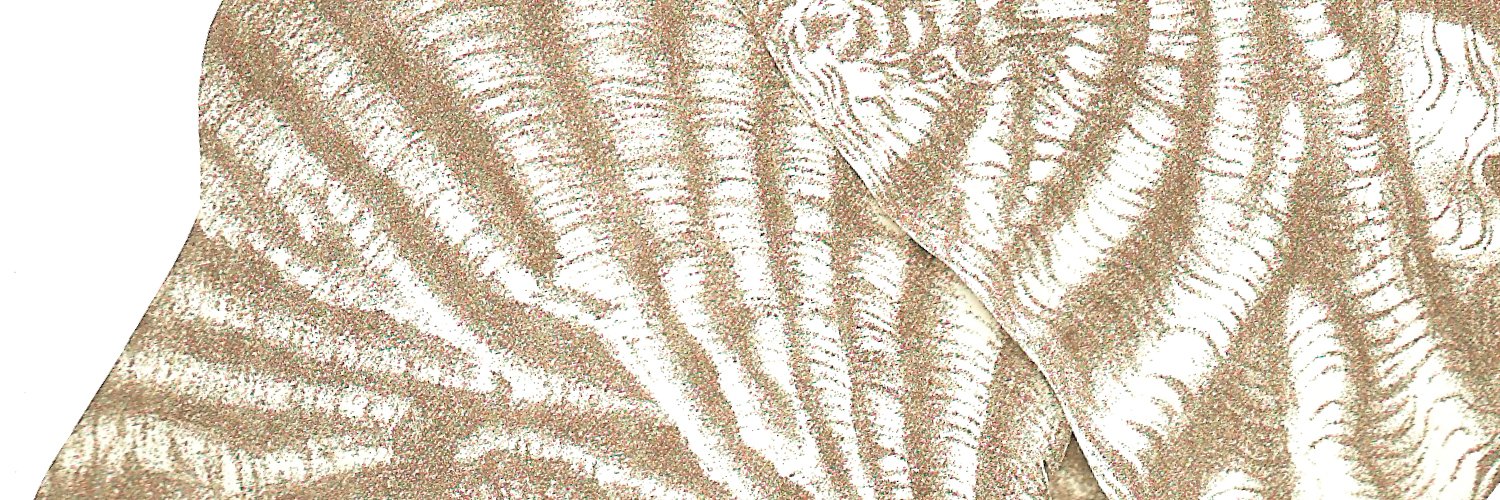 Loris Ligonzo banner