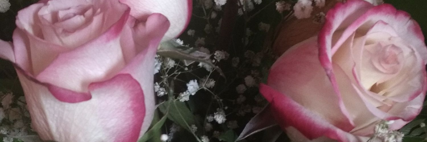 angelaprd_'s profile banner image