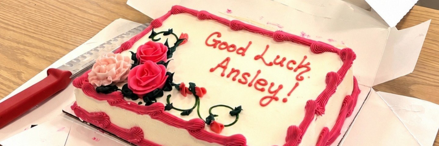 ansleyjaxson's profile banner image