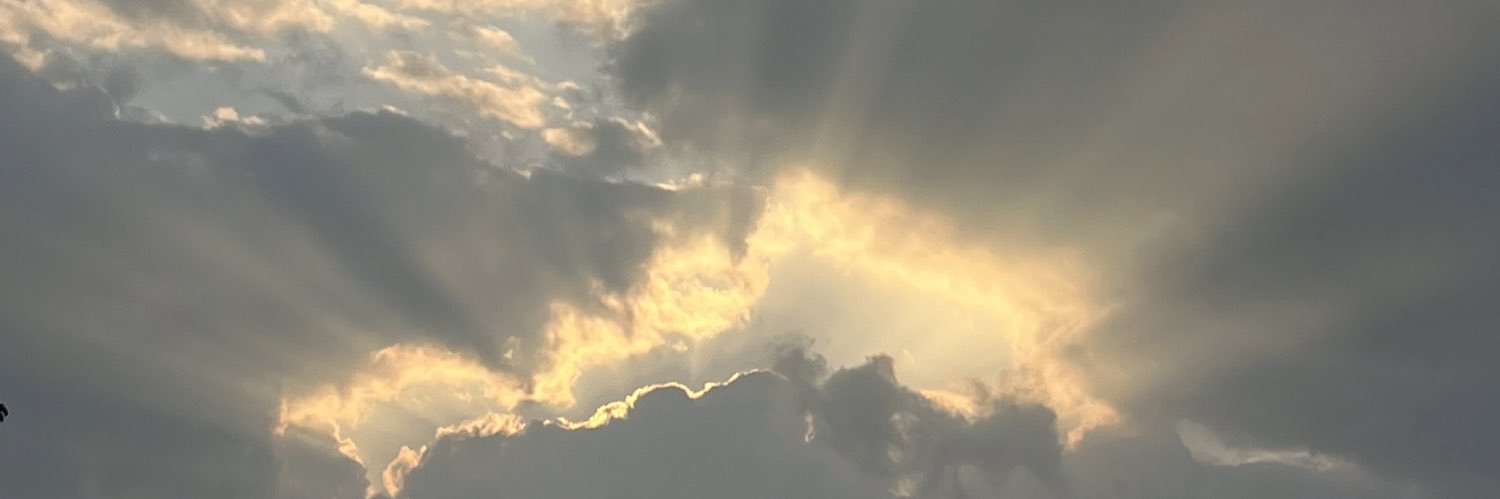 Harrison Fallows banner