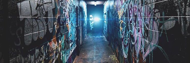 KriptoFoxxx's profile banner image