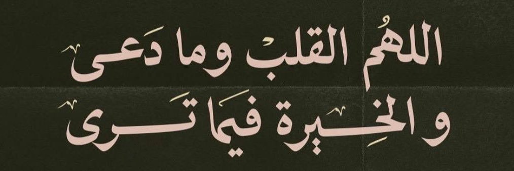 🐧 ɥɐllʌpqv banner
