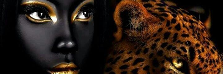 MBaystate's profile banner image