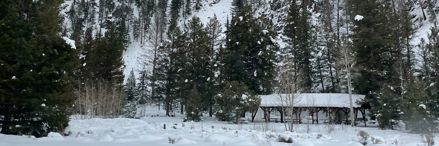 emilystauffer's profile banner image