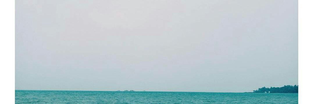 anisaul_'s profile banner image