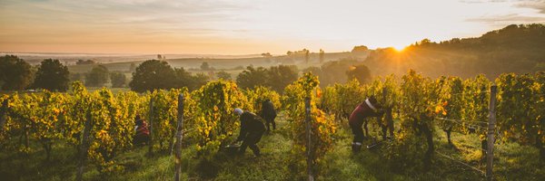 danielbozec Profile Banner