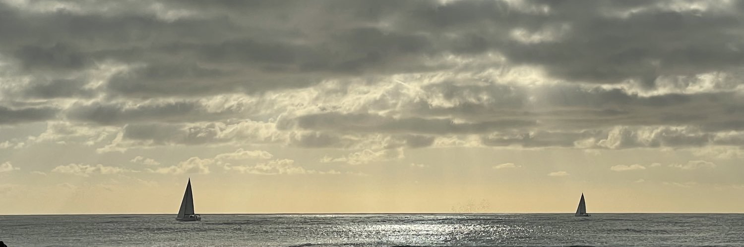 Alessandro Mancini banner