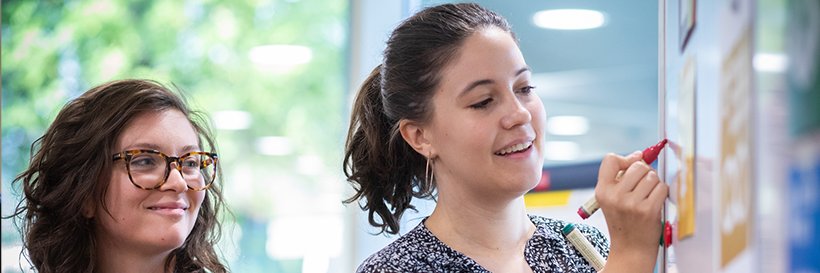 United Nations System Staff College banner