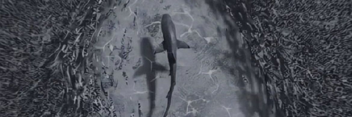 VlasXV's profile banner image