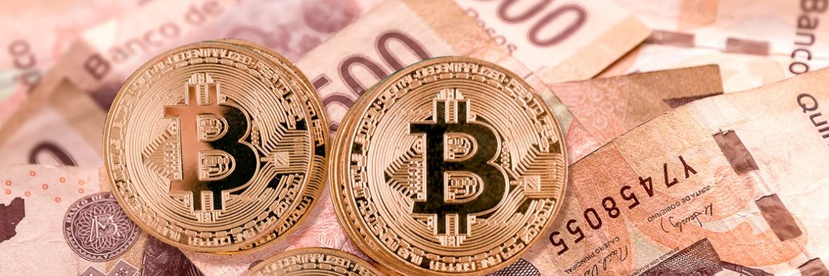 Promotor Crypto #1000xgem 💰 banner
