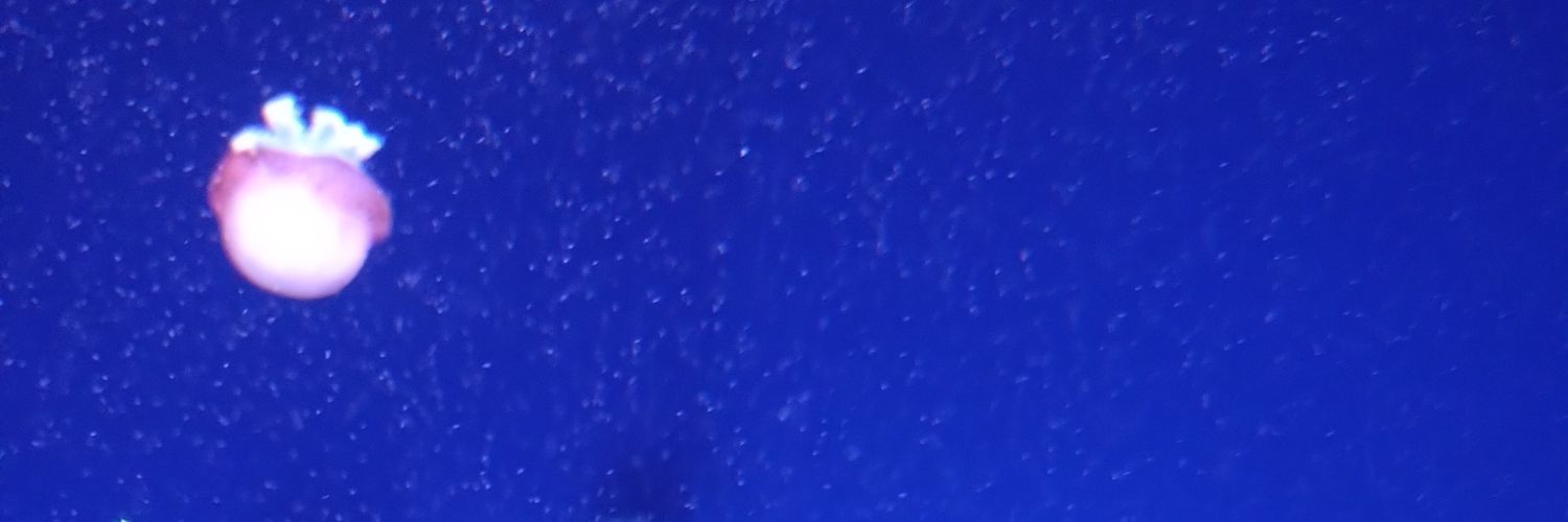 bpTTrya's profile banner image