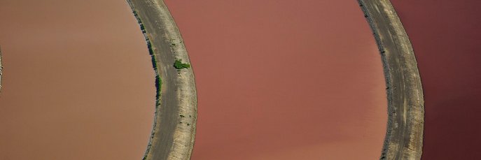 timlevine1's profile banner image