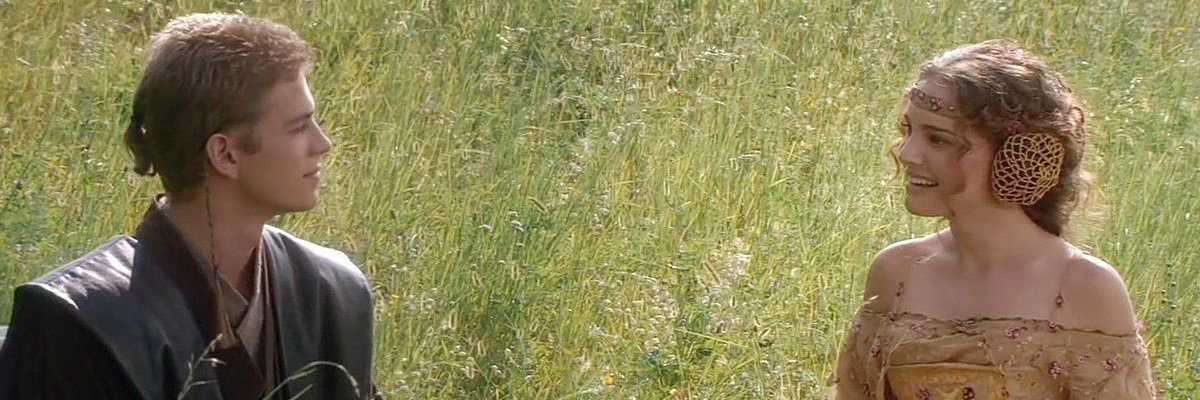 centro-oeste princess banner