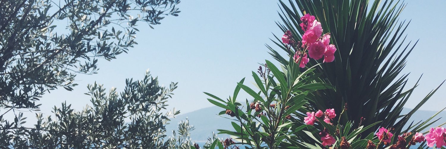 MabelPooleyX's profile banner image