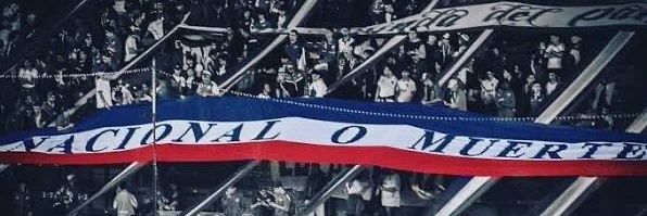 Gigi Bolso 🇱🇺 banner