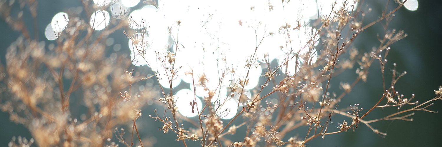 happysti's profile banner image