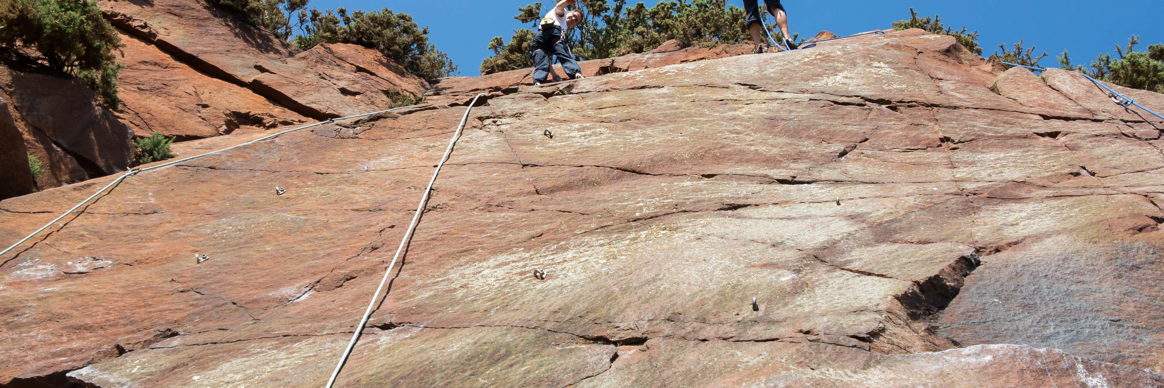 Willie Sullivan banner