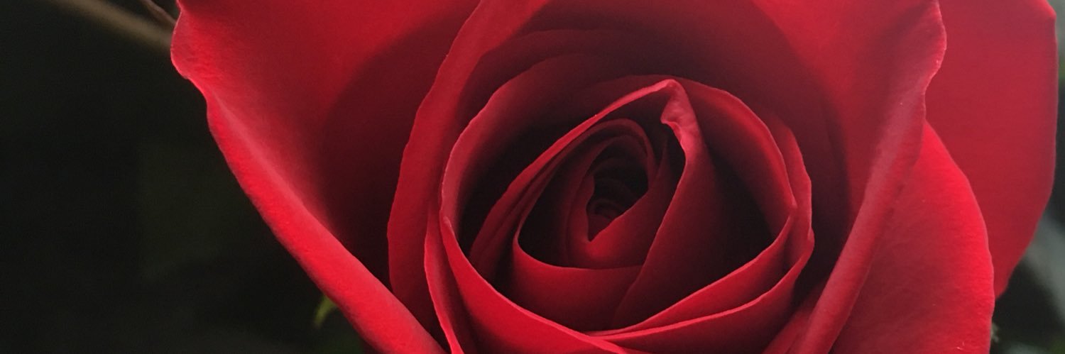 Becca_3091's profile banner image