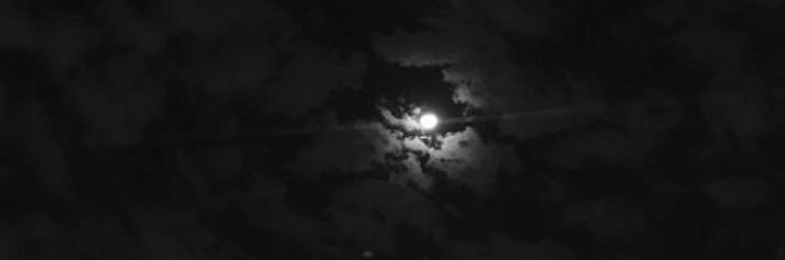 loai_02's profile banner image