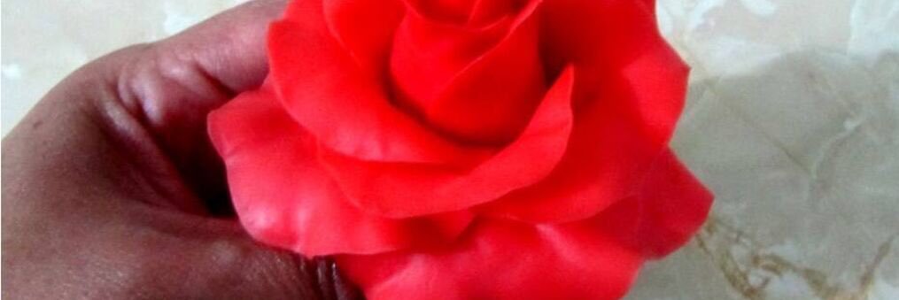 bailarconana's profile banner image