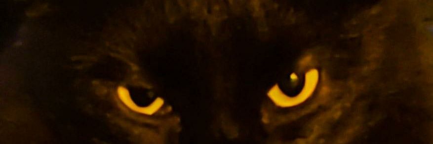 GregorioFabiano's profile banner image