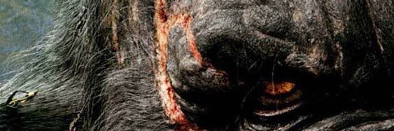felnaw5's profile banner image