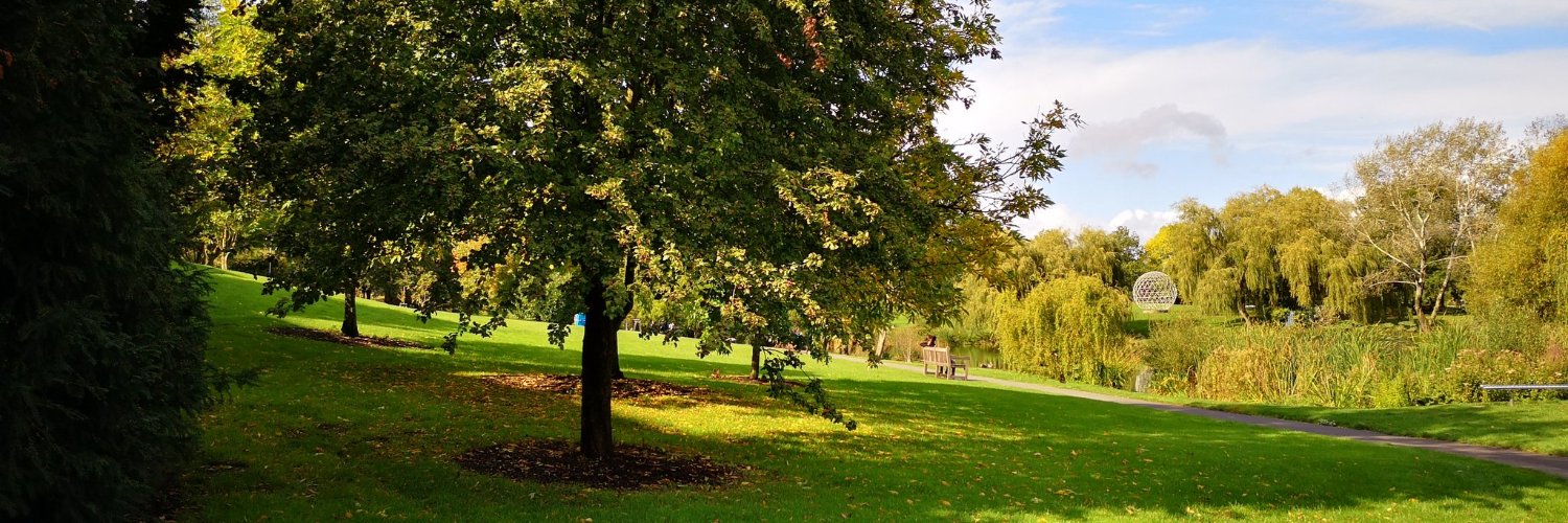 Surrey Lit & Langs banner