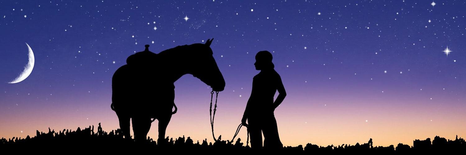 astro_logicus's profile banner image