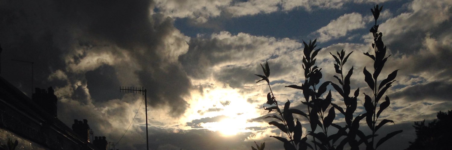 EDarrrrg's profile banner image