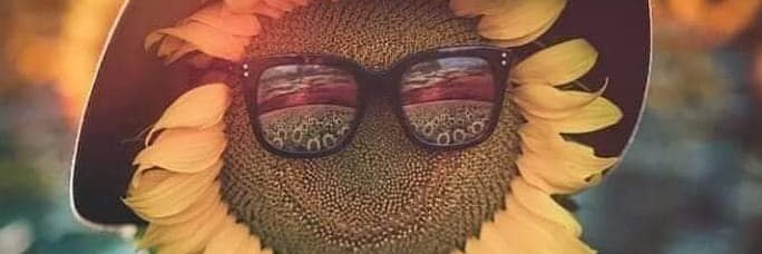 ElCosmatinco's profile banner image