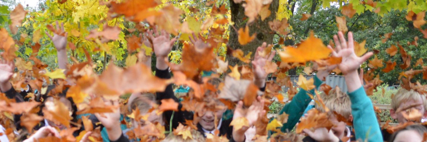 Stoke Hill Fed banner