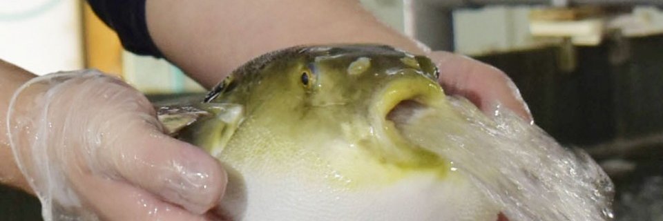 DiggoryJiggory's profile banner image