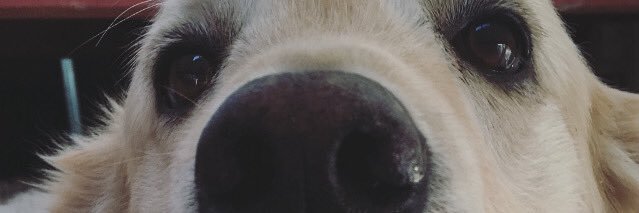 aaronabarca1's profile banner image