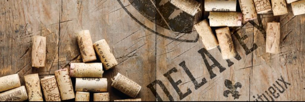 Delaney_VS's profile banner image