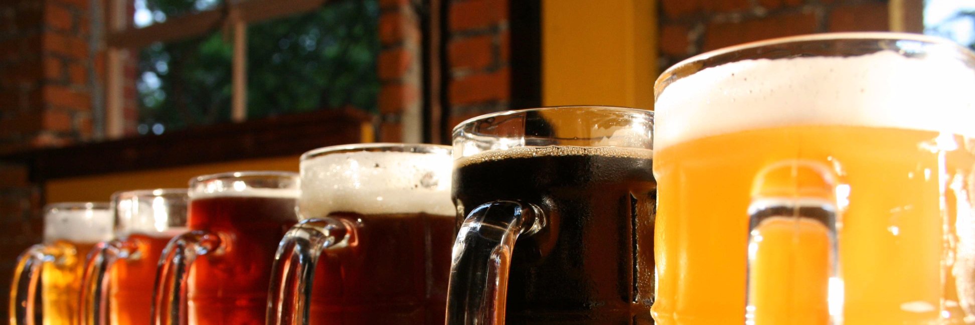 TheNWBrews's profile banner image