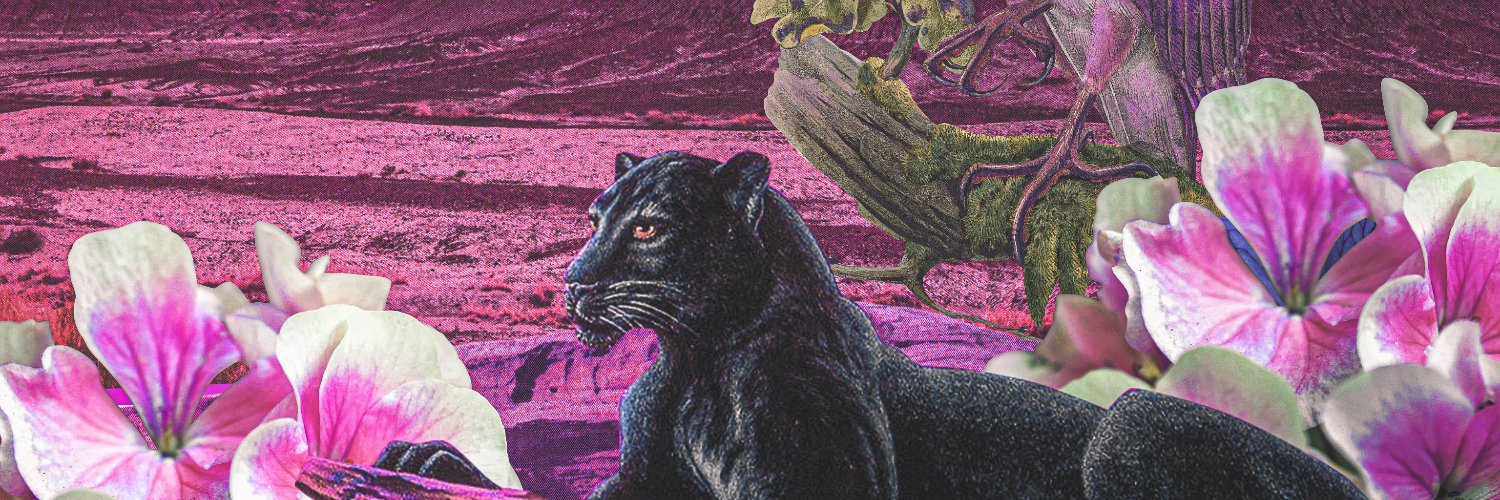 delruthv's profile banner image